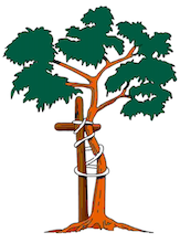 Bayside Medical Missions and Educational Outreach Inc.