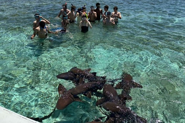 Day in Caye Caulkar