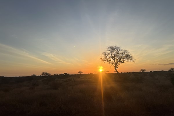  A Journey of Peace, Hope, and Transformation 