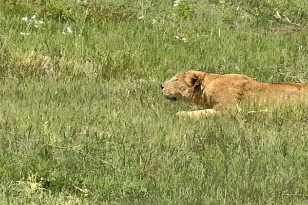 Tanzania: Ngorongoro Crater National Park