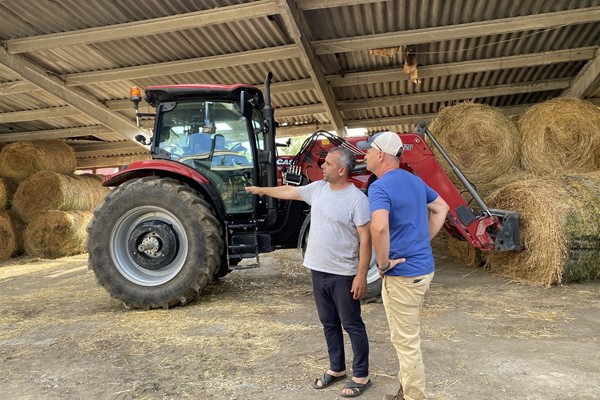 Dancu Farms