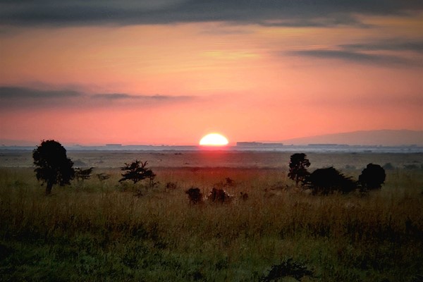 Day 4 - Safari!