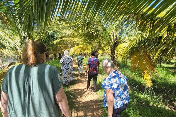 Curriculum, coconuts, church centers & cell group