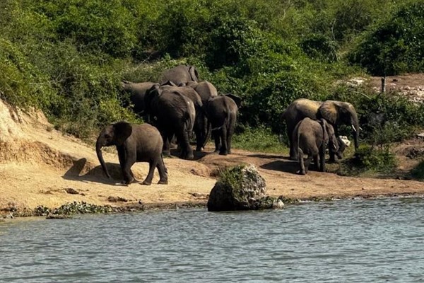 Safari and School Visit