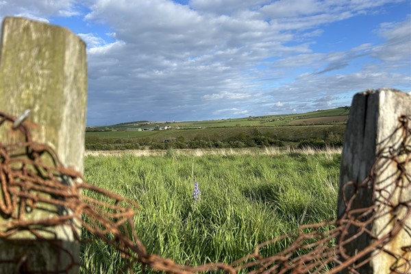 20Schemes Scotland-Serving the pastors and church members