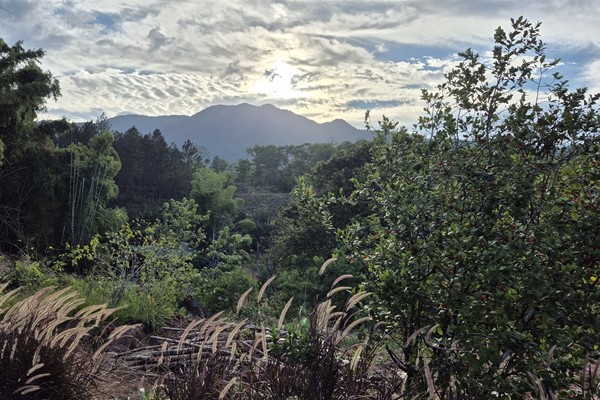 Reflections on my time in the Dominican Republic