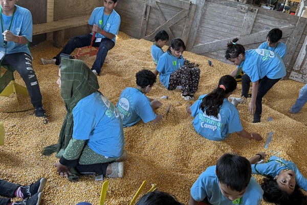 Day 4 of Lancaster ESL Camp: Farm Animals and A Visit to a Lancaster Farm!!! 