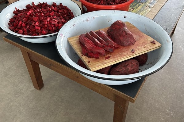 Beets are Ready